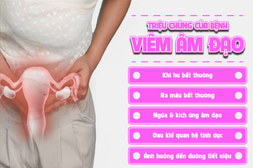  Triệu chứng bệnh viêm âm đạo ở nữ giới